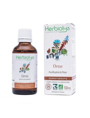 Image de Orme champêtre Macérât de bourgeon Bio - Peau et Purification 50 ml - Herbiolys depuis Achetez les produits Herbiolys à l'herboristerie Louis (6)