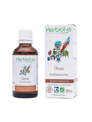 Image de Orme champêtre Macérât de bourgeon Bio - Peau et Purification 50 ml - Herbiolys depuis Macérât de bourgeon Bio - Cèdre du Liban - Herbiolys