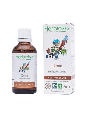 Image de Orme champêtre Macérât de bourgeon Bio - Peau et Purification 50 ml - Herbiolys depuis Résultats de recherche pour "Moringa Mint Or"