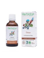 Image de Orme champêtre Macérât de bourgeon Bio - Peau et Purification 50 ml - Herbiolys depuis Découvrez nos bourgeons unitaires naturels pour un bien-être complet (5)