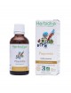 Pâquerette (Bellis) Bio - Teinture-mère Bellis perennis 50 ml - Herbiolys