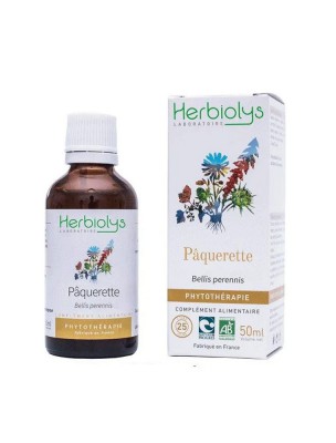 Image de Pâquerette (Bellis) Bio - Teinture-mère Bellis perennis 50 ml - Herbiolys depuis Achetez des teintures mères unitaires pour votre bien-être | Phyto&Herba (6)