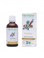 Image de Passion flower organic - Stress and Sleep Tincture Passiflora incarnata 50 ml - Wild Ferns Herbiolys via Buy Hawthorn Multi-Galenic - Sleep 100 ml - 5