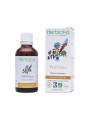 Image de Little Holly Tarragon organic mother tincture Ruscus aculeatus 50 ml - Circulation Herbiolys via Buy Pistachio Mastic organic - Circulation Mother tincture Pistacia