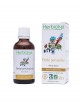 Petite Pervenche Bio - Acouphènes et Mémoire Teinture-mère Vinca minor 50 ml - Herbiolys