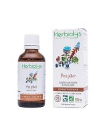 Image de Peuplier Noir Macérât de bourgeon Bio - Circulation et Immunité 50 ml - Herbiolys depuis Découvrez nos bourgeons unitaires naturels pour un bien-être complet (5)