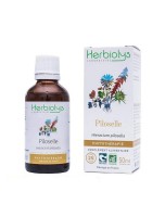 Image de Piloselle Bio - Diurétique Teinture-mère de Hieracium pilosella 50 ml - Herbiolys depuis ▷▷ Teintures mères de plantes commençant par la lettre P