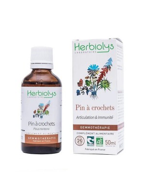 Image de Pin à crochets Macérât de bourgeon Bio - Articulation et Immunité 50 ml - Herbiolys depuis Séquoia Macérât de jeune pousse Bio - Herbiolys