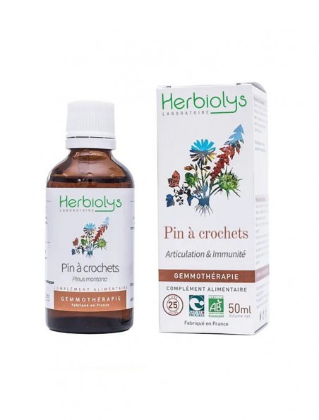 Pin à crochets Macérât de bourgeon Bio - Articulation et Immunité 50 ml - Herbiolys