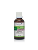Image de Prêle des Champs Bio - Dépuratif et articulations Teinture-mère Equisetum arvense 100 ml - Ladrôme depuis ▷▷ Teintures mères de plantes commençant par la lettre P (2)