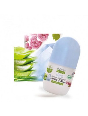Image de Deodorant Roll-on Alum Rose - Natural and practical deodorant 100 ml - Propos Nature depuis Natural deodorant with alum stone