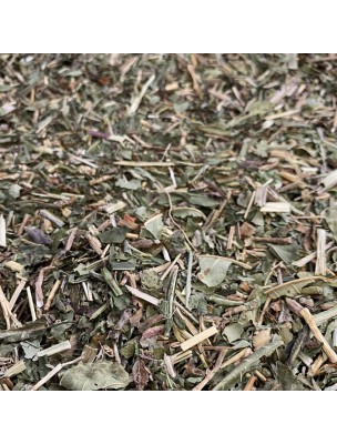 Image de Tisane Confort Urinaire N°3 Bio Elimination - Mélange de Plantes - 100 grammes via Achetez Galega partie aérienne 100g - Tisane officinalis L.