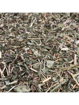 Image de Tisane Confort Urinaire N°3 Bio Reins - Mélange de Plantes - 100 grammes depuis Airelle rouge - Teinture mère Vaccinium vitis idaea (bio)