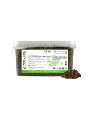 Image de Phyto Forme - Vitalité des chevaux 1kg - Phyto Master via Electrosorb - Equi-Top 1L - Compense Pertes Hydroliques