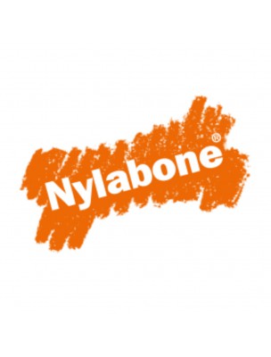 Petite image du produit Puppy Beef Bone - Os à mâcher en Nylon pour chiots Small - Nylabone