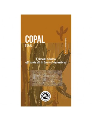 Copal - Résine d'encens aromatique 30 g - Les Encens du Monde