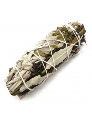 Image de White Sage and Arruda - Fumigation - 10 cm bundle (25g) via Buy Incense Art of Living - Practical Guide -