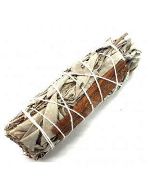 Image de White Sage and Cinnamon - Fumigation - 10 cm bundle (25g) depuis Fumigation à la sauge blanche