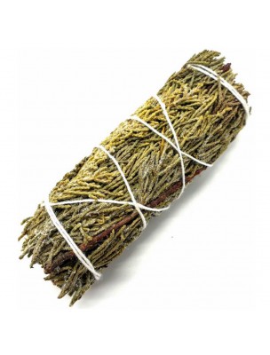 Image de Sauge Juniper - Fumigation - Fagot 35 g (11cm) depuis Bâtonnets en Bambou - 100 Bâtonnets DIY pour Encens - Les Encens du Monde