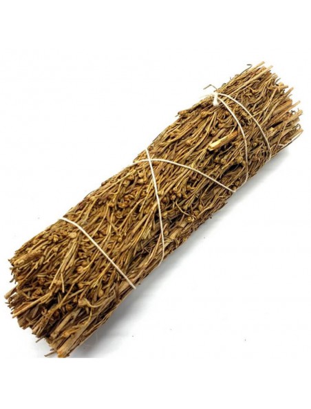 Achetez Copal - Fumigation - Fagot 35 g (11cm) à l'herboristerie Louis Image principale de Copal - Fumigation - Fagot 35 g (11cm)