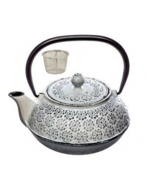 Image de White Cast Iron Teapot 1 Litre with its filter via Buy Energie Vitalité Bio - Ayurvedic infusion