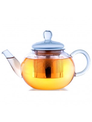 Image de Infuser in borosilicate glass 800ml with its filter depuis Cast iron, porcelain or glass teapots for aesthetic brewing
