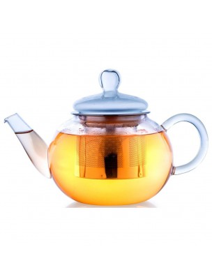 Image de Infuseur en Verre borosilicate 800ml avec son filtre via Mug 3 en 1 en Verre borosilicate 400ml avec filtre