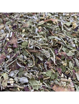 Image de Tisane Circulation N°3 Jambes Légères - Mélange de Plantes - 100 grammes via GinkgoGEM GC08 Bio - Herbalgem