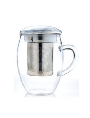 Image de Mug 3 en 1 en Verre borosilicate à Simple Paroi 400ml avec son filtre depuis Accessoires pour le thé - Dégustez votre infusion préférée