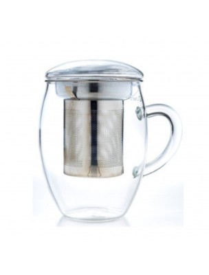 Image de Mug 3 en 1 en Verre borosilicate à Simple Paroi 400ml avec son filtre depuis Thé Vert Goût Russe Bio - Livraison Gratuite
