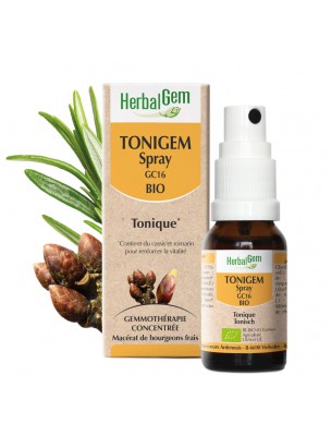 Image de ToniGEM GC16 Bio - Tonus et Vitalité  Spray de 15 ml - Herbalgem via Vitamine B12 - Tonus 60 gélules végétales - Vit'all+