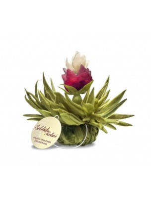 Image de Peach Pearl Fleur de Thé - Thé blanc, Rose, Jasmin et Arôme Pêche depuis Fleurs de thés naturels pour une santé optimale