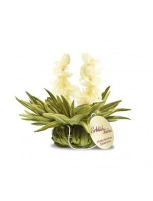 Image de Jasmine Heaven Fleur de Thé - Thé blanc,  Jasmin et Arôme Jasmin depuis Fleurs de thés naturels pour une santé optimale