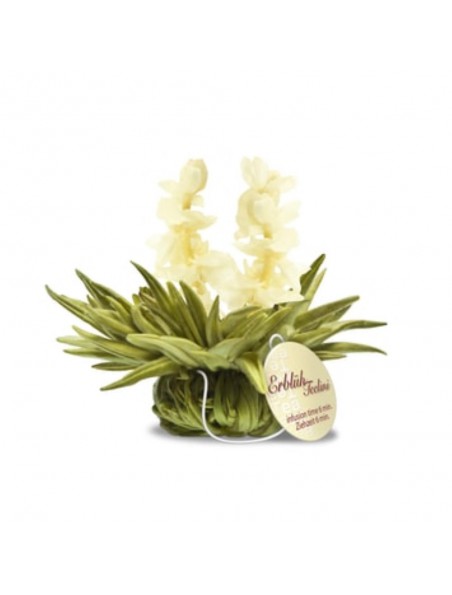 Achetez Jasmine Heaven Fleur de Thé - Thé blanc, Jasmin et Arôme Jasmin à l'herboristerie Louis Image principale de Jasmine Heaven Fleur de Thé - Thé blanc, Jasmin et Arôme Jasmin