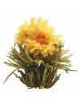Image de Solstice Flower Tea - Calendula White Tea via Buy Fleur de Pluie Fleur de Thé - White Tea