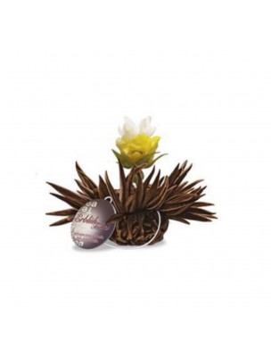 Image de Bergamot Pearl Fleur de Thé - Thé noir Rose, Jasmin et arôme Bergamote depuis Achetez nos Fleurs de thés naturelles et bio