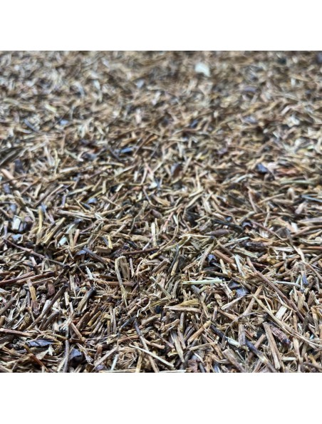 Achetez Queue de cerise - Pédoncule coupé 50g - Tisane Prunus cerasus L. à l'herboristerie Louis Image principale de Queue de cerise - Pédoncule coupé 50g - Tisane Prunus cerasus L.