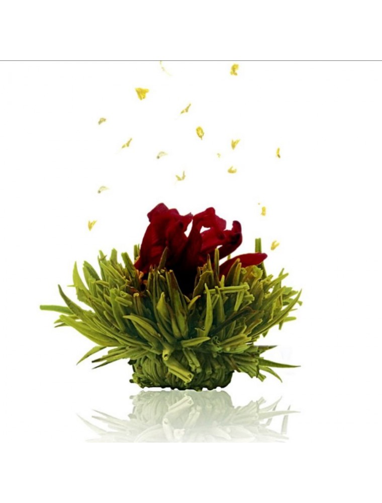Image principale de la modale pour Creano Cerise Fleur de Thé - Thé vert Hibiscus, Sureau et Arôme Cerise