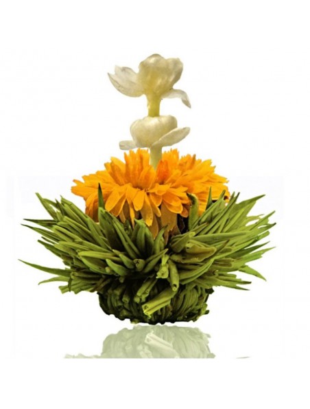 Achetez Creano Pêche Fleur de Thé - Thé vert Souci, Jasmin et Arôme Pêche à l'herboristerie Louis Image principale de Creano Pêche Fleur de Thé - Thé vert Souci, Jasmin et Arôme Pêche