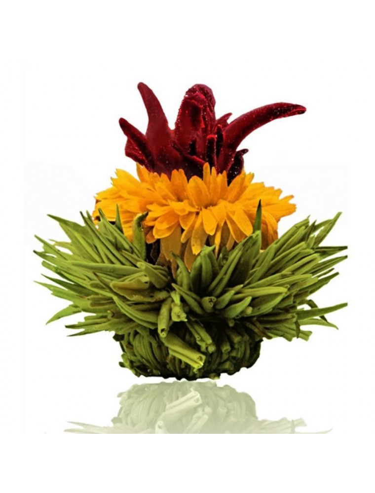 Image principale de la modale pour Creano Mangue Fleur de Thé - Thé vert Hibiscus, Souci et Arôme Mangue