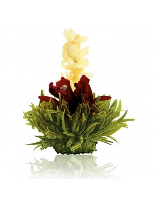 https://www.louis-herboristerie.com/50785-home_default/creano-raspberry-flower-tea-green-tea-jasmine-hibiscus-and-raspberry-flavouring.jpg