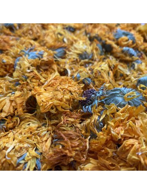 Image de Souci Tango Bio - Fleur 50g - Tisane de Calendula officinalis L. depuis Tisanes unitaires de qualité en ligne - Commandez maintenant ! (10)