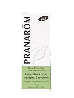 Image de Eucalyptus à cryptone Bio - HE d'Eucalyptus polybractea ct cryptone 10 ml - Pranarôm depuis Résultats de recherche pour "Eucalyptus Bio "