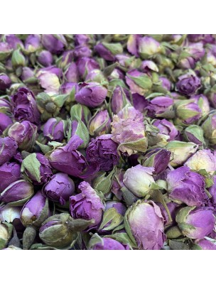 Image de Rose de Damas Bio - Bouton Floral 50g - Tisane Rosa damascena Herrm depuis Cracker Duo Hydratation intense Eclat de Rose Bio 40 ml - Centifolia