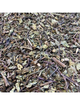 Image de Orthosiphon Bio - Feuilles 50 g - Tisane d'Orthosiphon aristatus (Blume) depuis Résultats de recherche pour "50 ml brown gla"