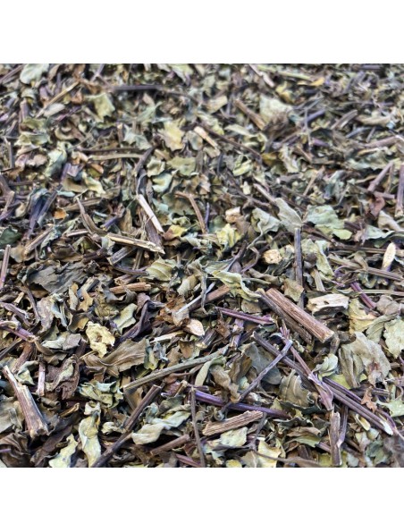 Image principale de Orthosiphon Bio - Feuilles 50 g - Tisane d'Orthosiphon aristatus (Blume)