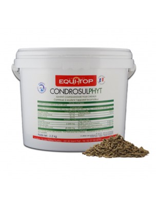 Image de Condrosulphyt - Articulations des Chevaux 2,2 Kg - Equi-Top via Tendileg - Soutien fonctions musculaires 500ml - Horse Master