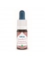 Image de Protection Emotionnelle Bio - Sensibilité équilibrée Composé floral n°4 15 ml - Deva via Acheter Buis Bio - Liberté et réalisation de soi Elixir floral 15 ml -