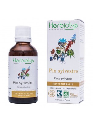 Image de Pin sylvestre Bio - Immunité Teinture-mère de Pinus sylvestris 50 ml - Herbiolys via Astragale Bio - Défenses Naturelles - Oxyphyteau