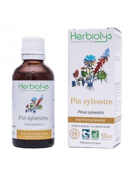 Pin sylvestre Bio - Immunité Teinture-mère de Pinus sylvestris 50 ml - Herbiolys